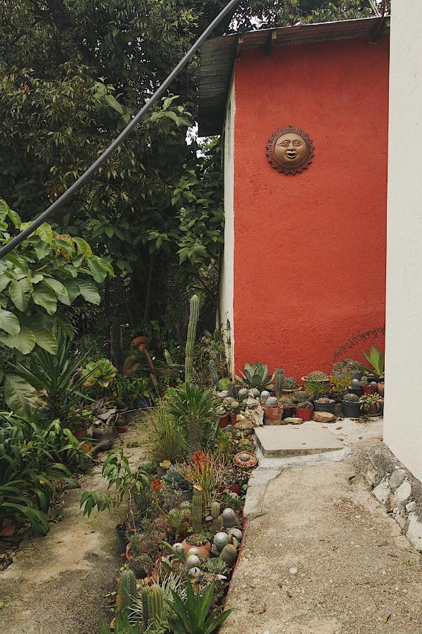Cabana Campestre En Oaxaca المظهر الخارجي الصورة