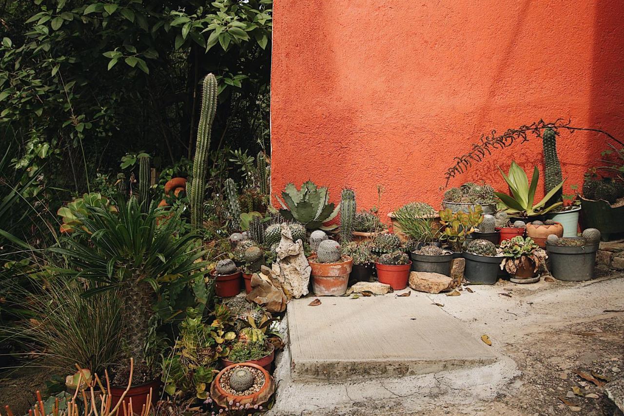 Cabana Campestre En Oaxaca المظهر الخارجي الصورة