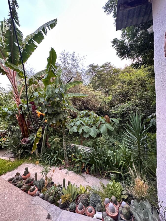 Cabana Campestre En Oaxaca المظهر الخارجي الصورة